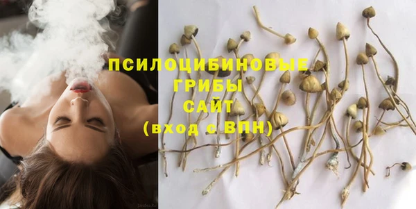 дмт Алексеевка