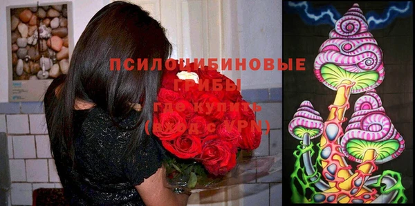спиды Алексин